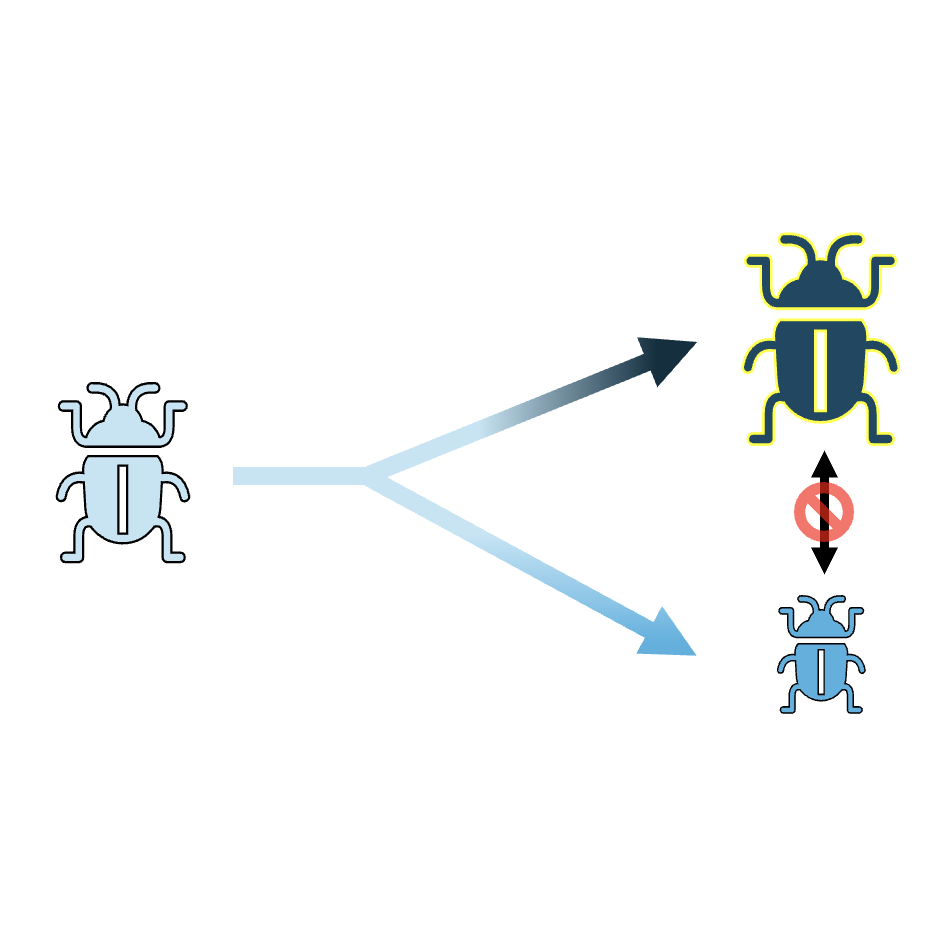 speciation